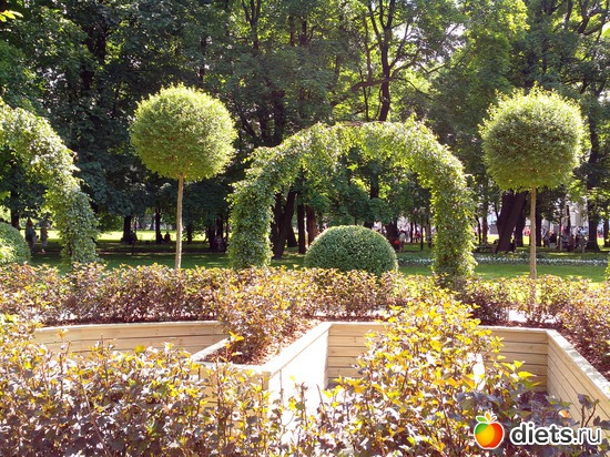 12 ����: ������������� ���� ������ 2013