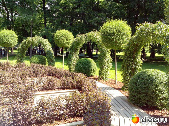 13 ����: ������������� ���� ������ 2013