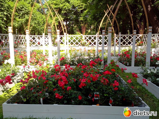 14 ����: ������������� ���� ������ 2013