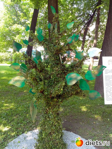 15 ����: ������������� ���� ������ 2013