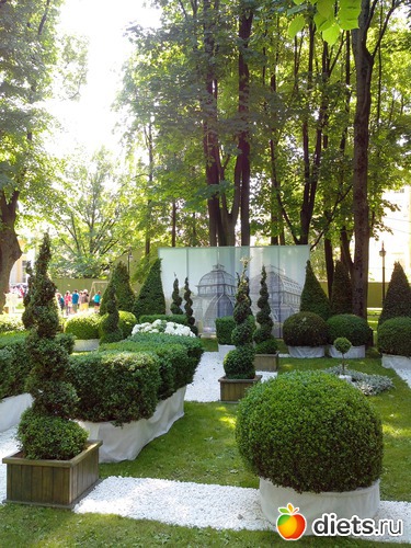 25 ����: ������������� ���� ������ 2013