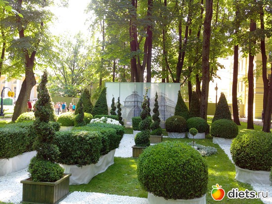 26 ����: ������������� ���� ������ 2013