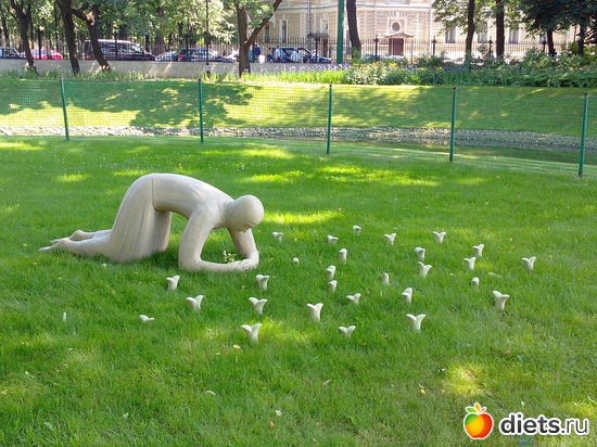 34 ����: ������������� ���� ������ 2013