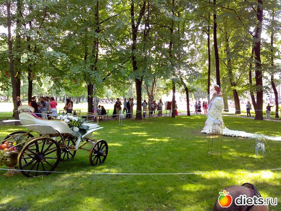 36 ����: ������������� ���� ������ 2013