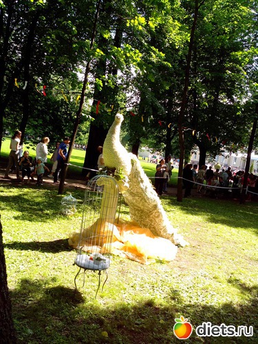 37 ����: ������������� ���� ������ 2013