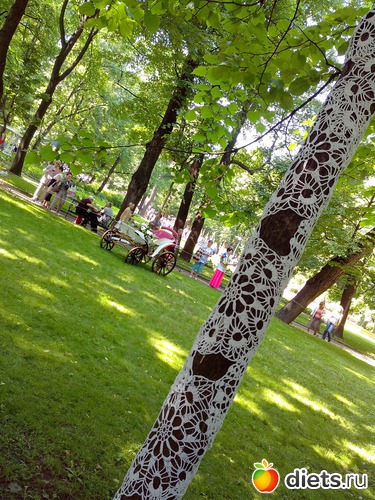 39 ����: ������������� ���� ������ 2013