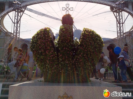 40 ����: ������������� ���� ������ 2013