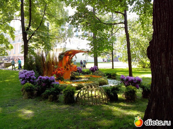 41 ����: ������������� ���� ������ 2013