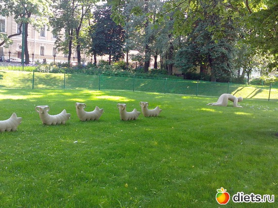 46 ����: ������������� ���� ������ 2013