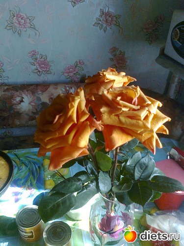 розы на днюху, альбом: Я любимая!