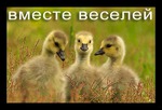 ДАВАЙТЕ НАЧНЕМ ВМЕСТЕ С ПОНЕДЕЛЬНИКА!! 17-ГО ИЮНЯ