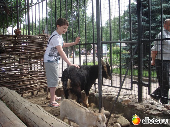 ��� ��� � ��� ��������., ������: �������