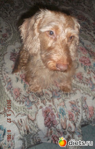 2 ����: ������ ���