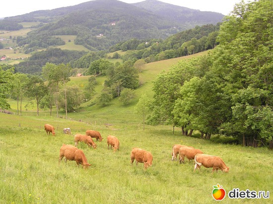 2 ����: ����� � �����