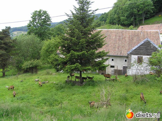 4 ����: ����� � �����