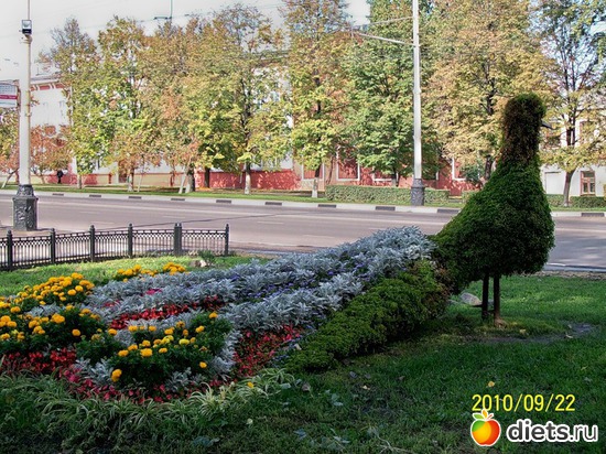 Павлин..., альбом: Прогулка по Тамбову.