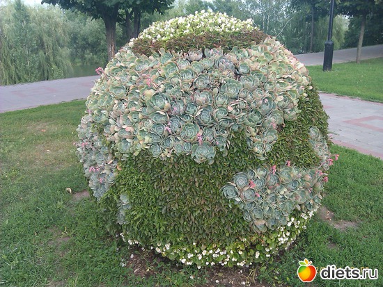 ������ ���.������., ������: �������� �� �������.