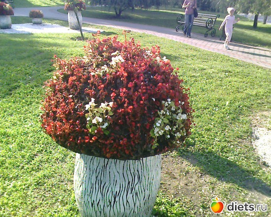 ������, ������: �������� �� �������.