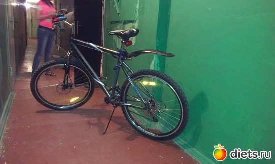 1 ����: ���������