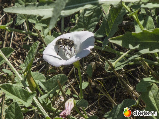 12 ����: ��������