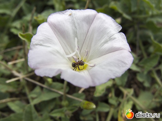 14 ����: ��������
