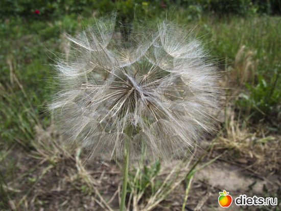 33 ����: �����-����-����� 2013 - 2015