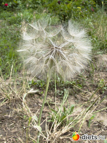 34 ����: �����-����-����� 2013 - 2015