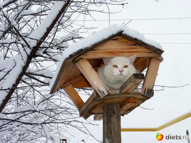 1 ����: ����� �������� - �������������� ����� ?