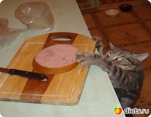 ����� �������� - �������������� ����� ?