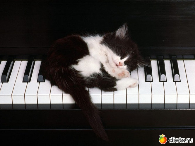 9 ����: ����� �������� - �������������� ����� ?