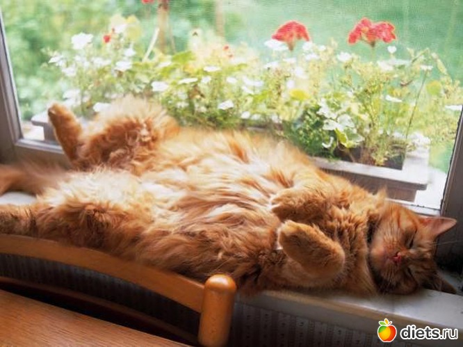 10 ����: ����� �������� - �������������� ����� ?