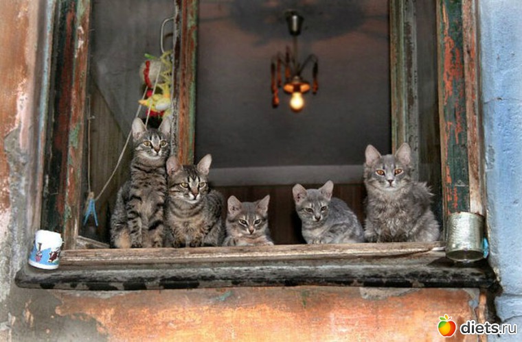 14 ����: ����� �������� - �������������� ����� ?