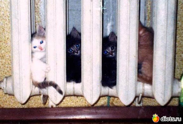 15 ����: ����� �������� - �������������� ����� ?