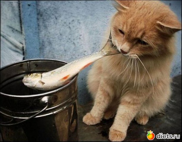 16 ����: ����� �������� - �������������� ����� ?