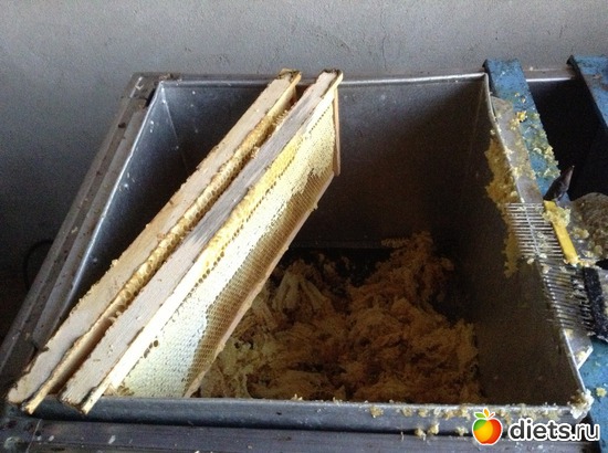 ������� ���, ����� � �������, ������: ��������� ���� ����� �����!