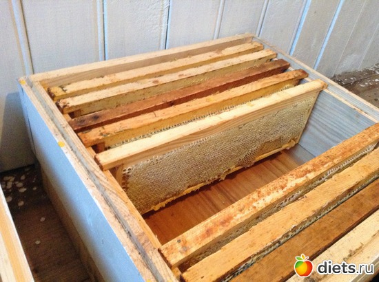 7 ����: ��������� ���� ����� �����!