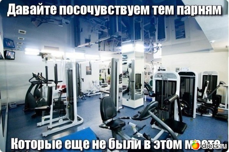 479 ����: ��� ������