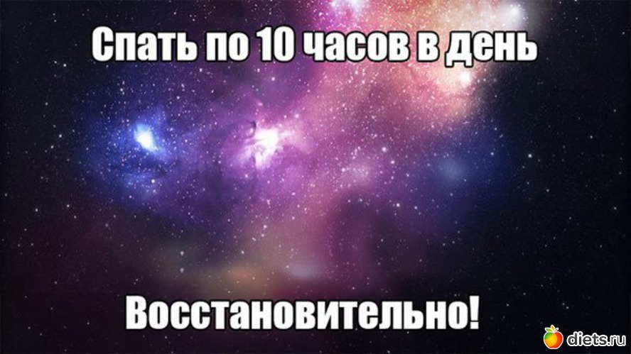 481 ����: ��� ������