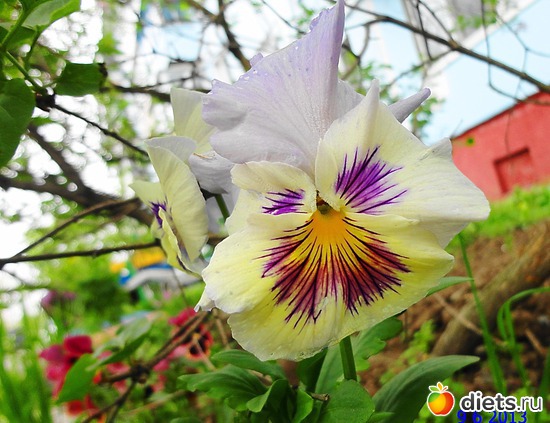 53 ����: ����� � ����-�������� ����!