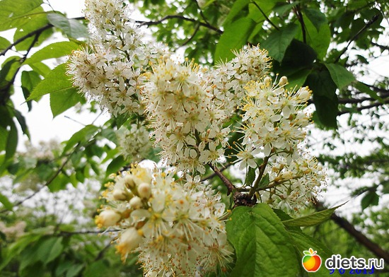 54 ����: ����� � ����-�������� ����!