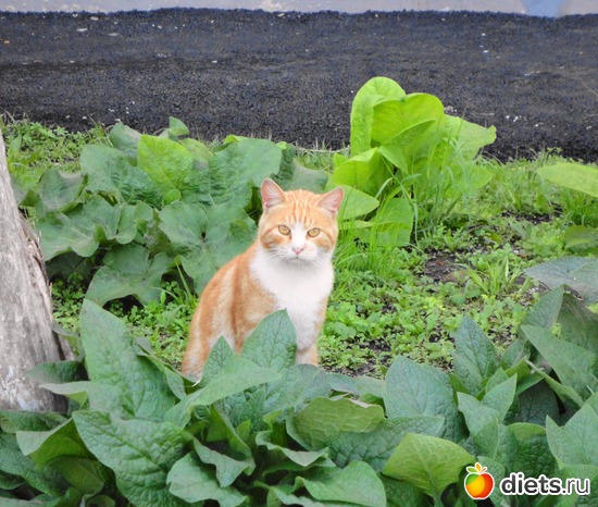 16 фото: Владивосток