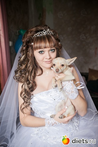 6 ����: �������