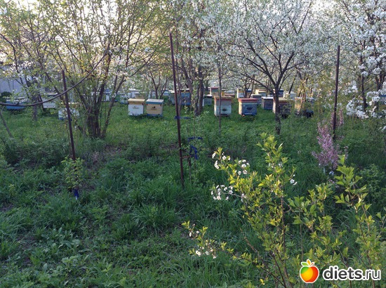 ������ ������, ��� 2013 �., ������: ��������� ���� ����� �����!