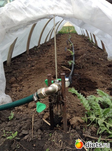 �������� � ��������� �������!, ������: ��� ���