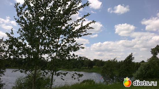 5 ����: ������ 14.06.2013.