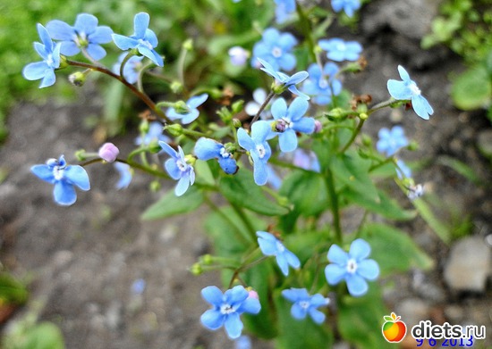 35 ����: ����� � ����-�������� ����!