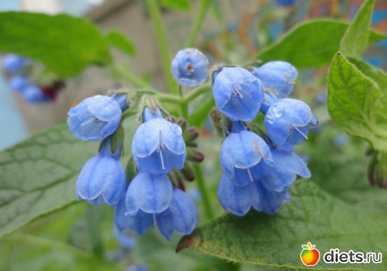 36 ����: ����� � ����-�������� ����!