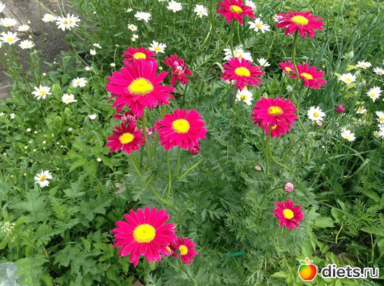 20 ����: ��� ���