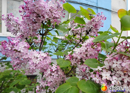 38 ����: ����� � ����-�������� ����!