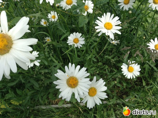 21 ����: ��� ���